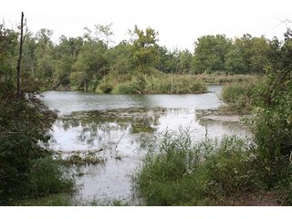 Property photo 67 - 419 +/- Acres offered in 6 Tracts, Land Auction